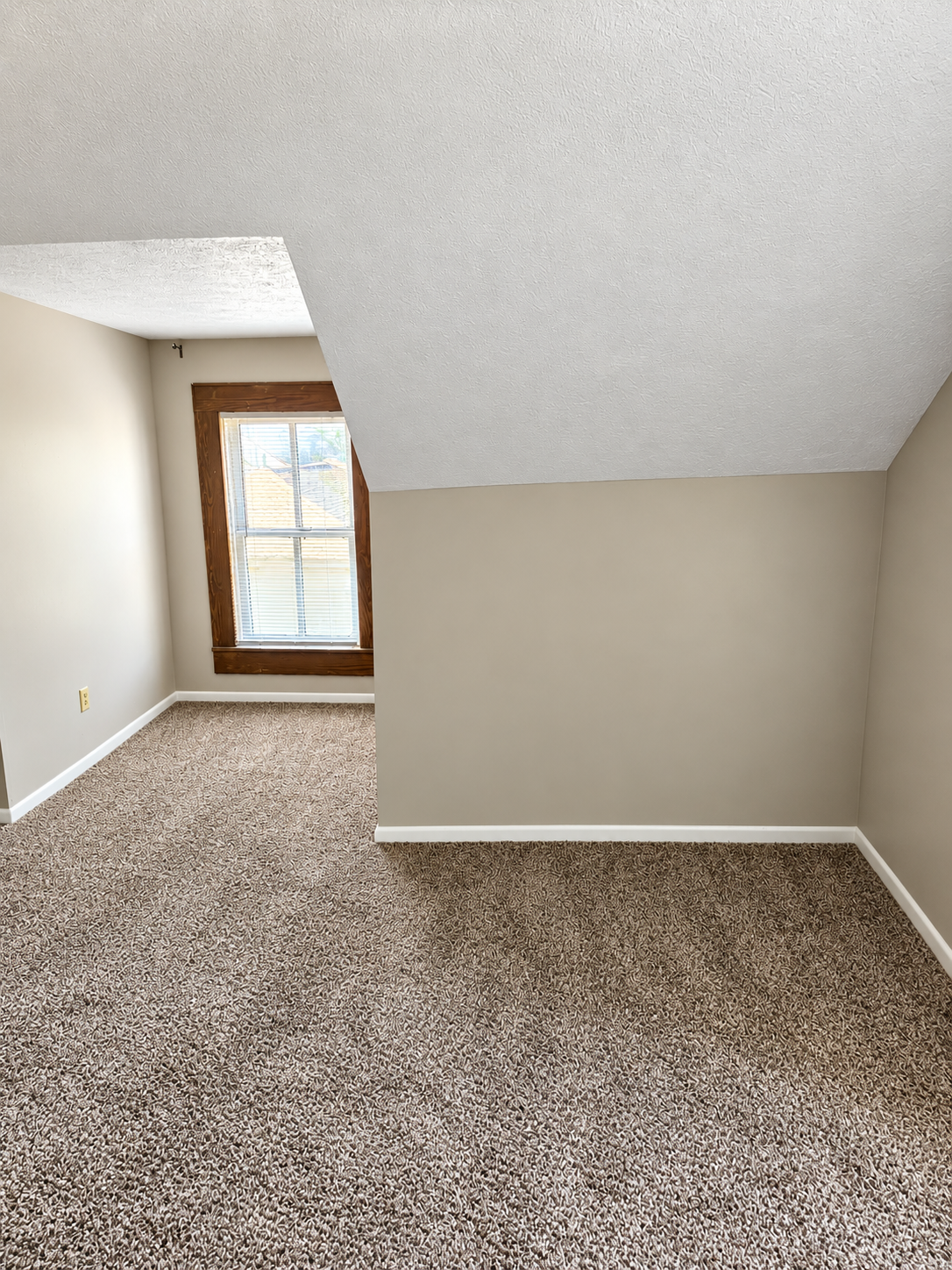 Photo1